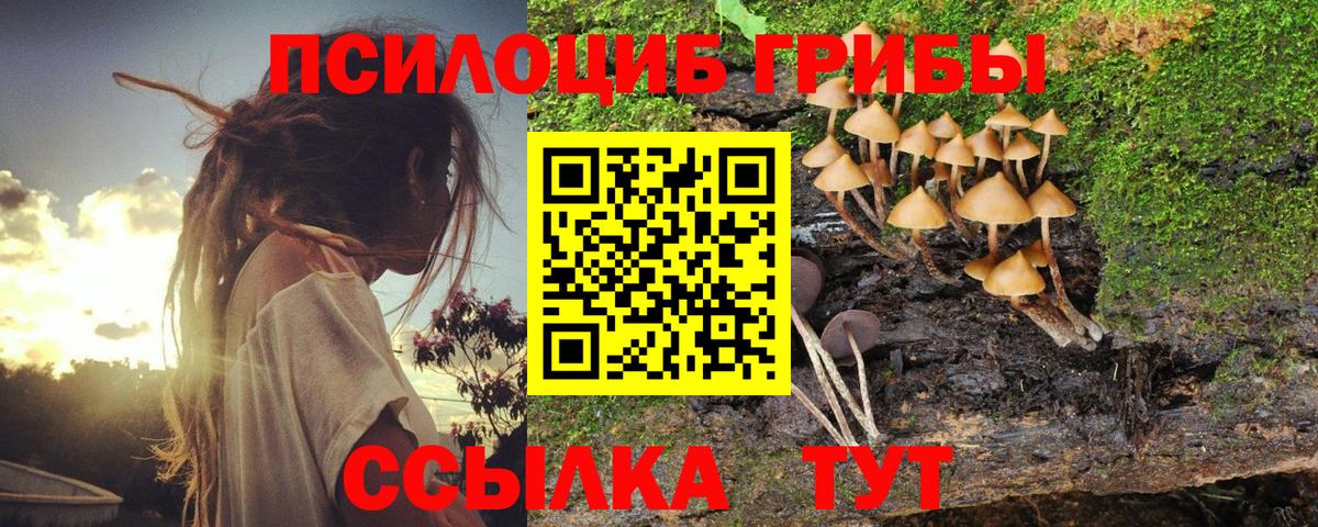 Новочебоксарск  Псилоцибиновые грибы Cubensis  Вход с VPN  купить наркотики цена  Псилоцибиновые грибы MAGIC MUSHROOMS 