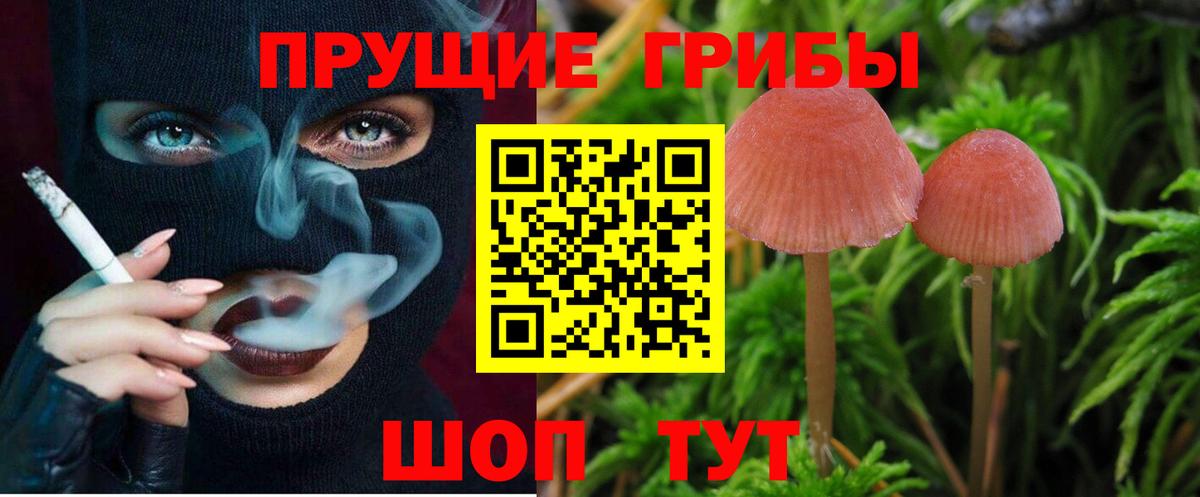 Конопля Новочебоксарск